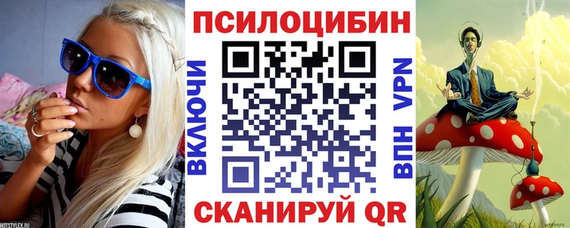 Псилоцибиновые грибы Psilocybe Билибино